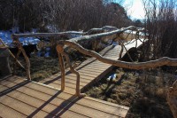 Protective Decking at the Meadow Pond